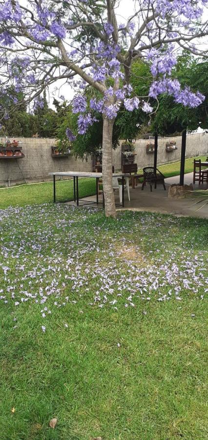 Casa Rural Carme De Nelis Deltebre Εξωτερικό φωτογραφία